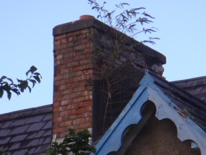 House Survey Costs