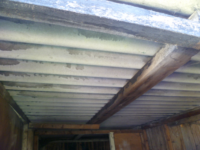 Asbestos survey and your home
