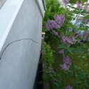 Party wall disputes