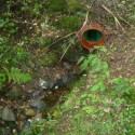 Building Surveyor on Boundary Disputes