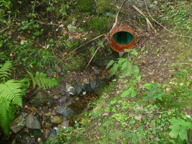 Building Surveyor on Boundary Disputes