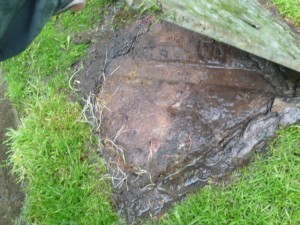 Cover of drain being lifted during a building inspection to show blockage