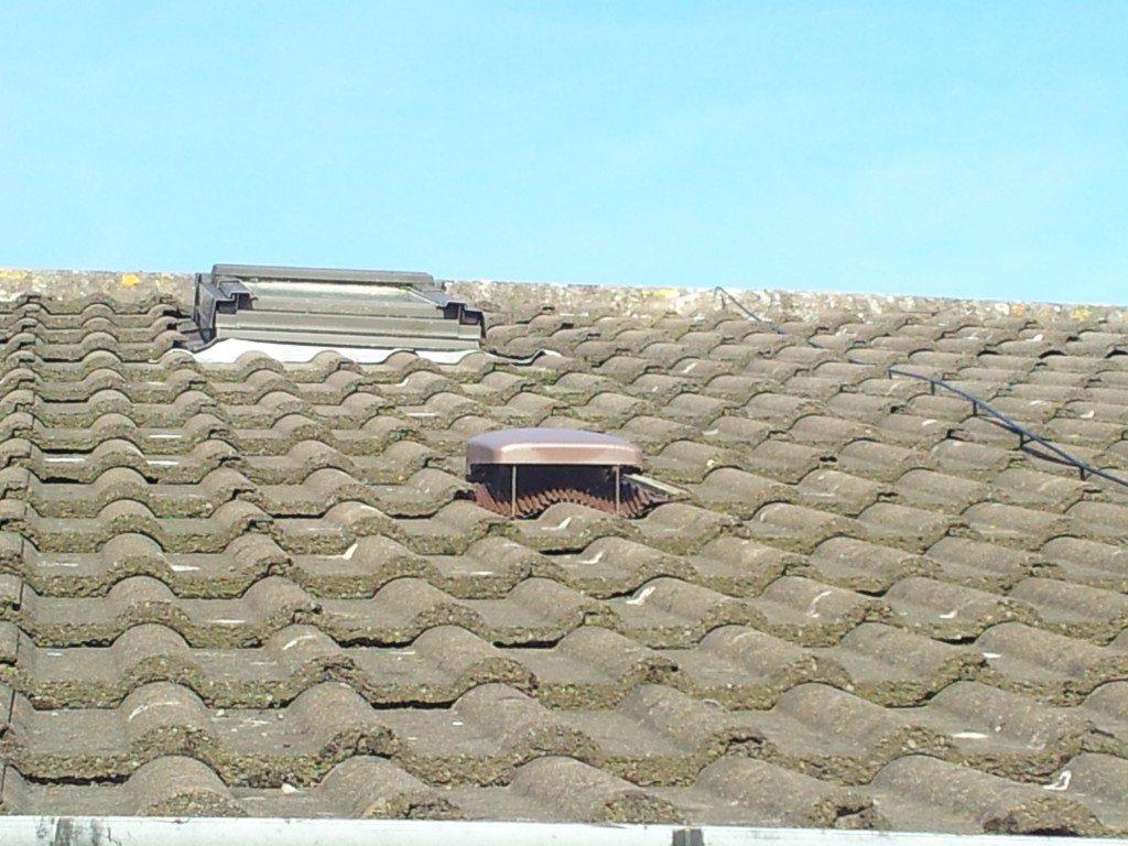 Ventilation in Roofs Property Health Check