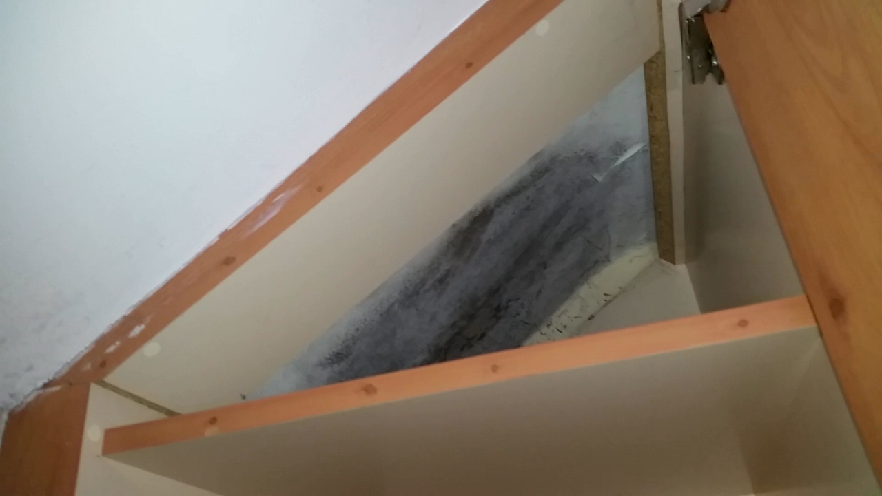 Inadequate air movement in wardrobes can lead to mould