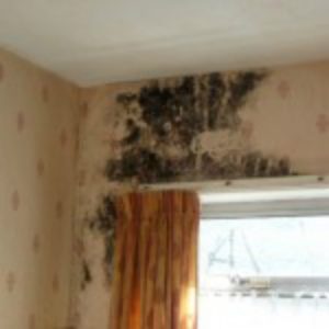 Mould on wall in corner of room